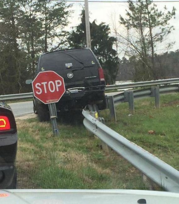 funny-pictures-938