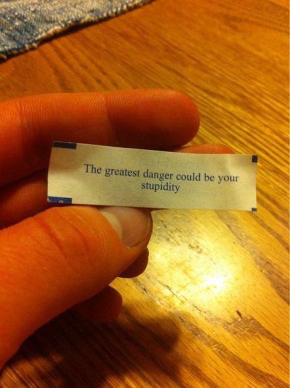 funny-pictures-938