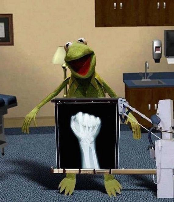 funny-pictures-939