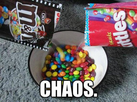 funny-pictures-939