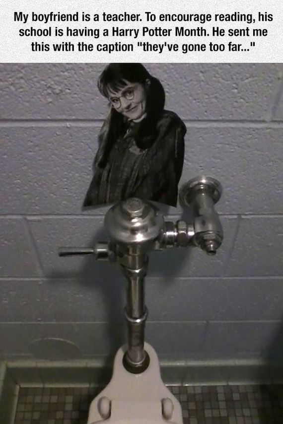 funny-pictures-939