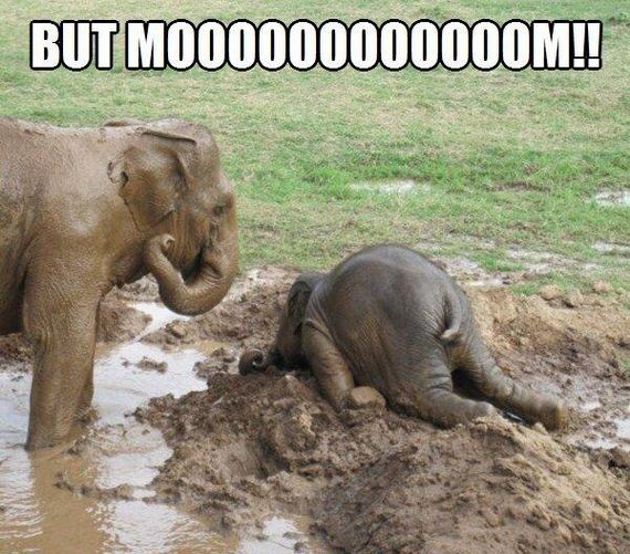 funny-pictures-939