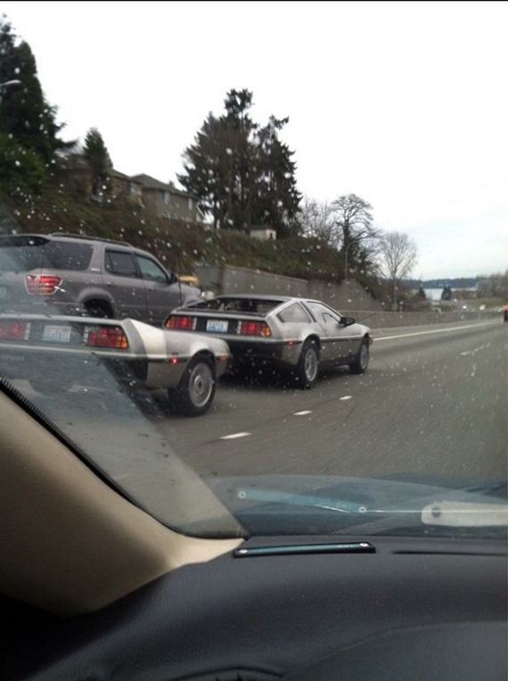funny-pictures-940