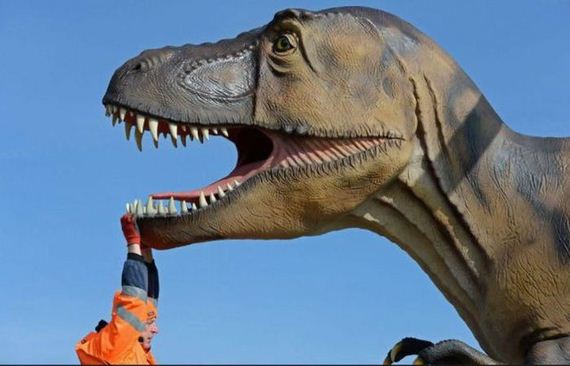 funny-pictures-941