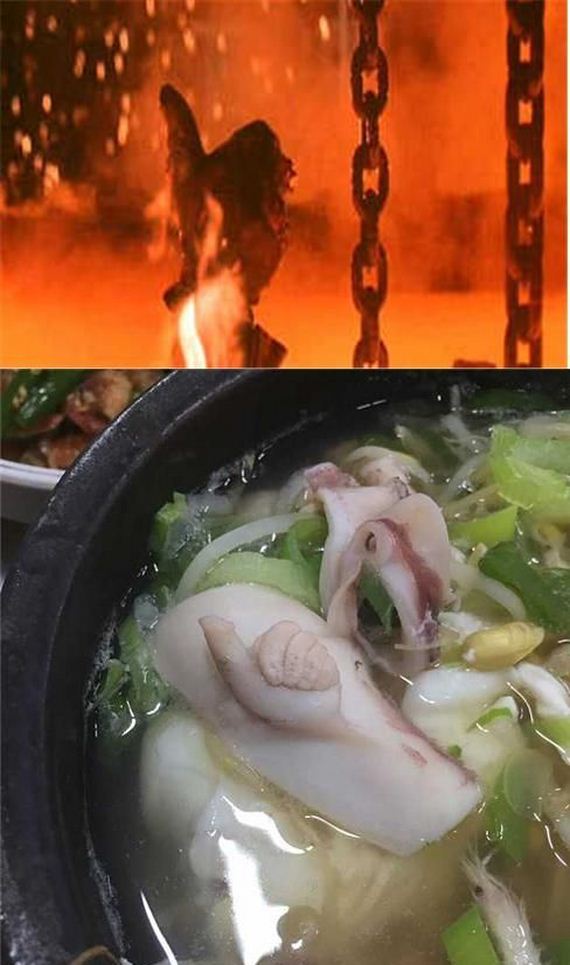funny-pictures-941