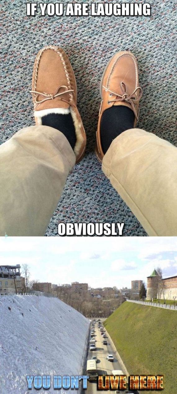 funny-pictures-941
