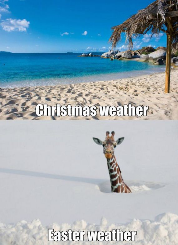 funny-pictures-941