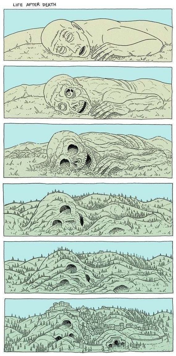 funny-pictures-943
