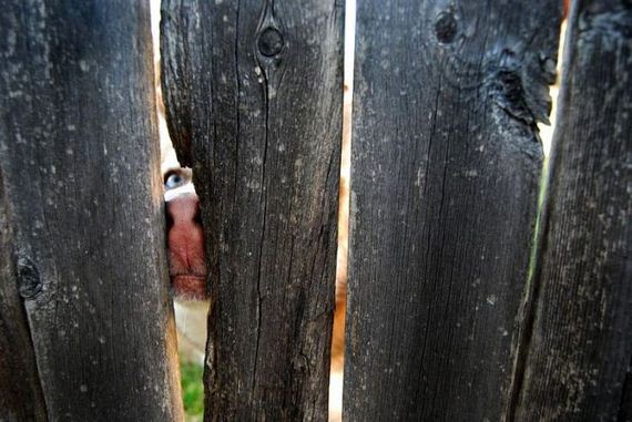 funny-pictures-944