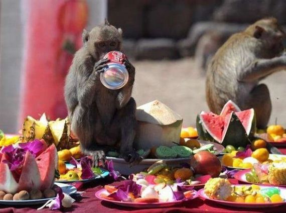 funny-pictures-944