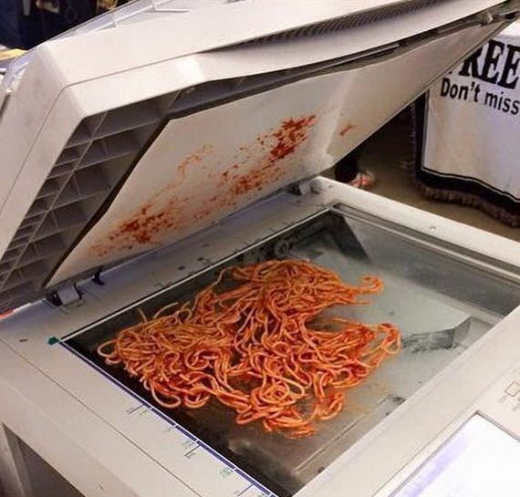 funny-pictures-944