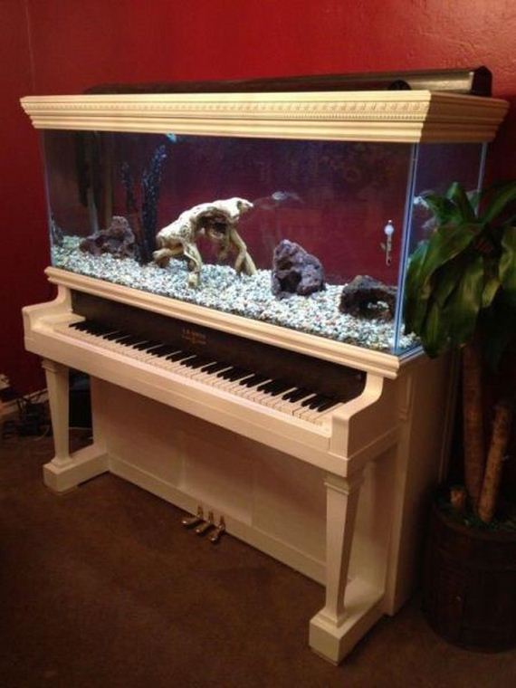 funny-pictures-944