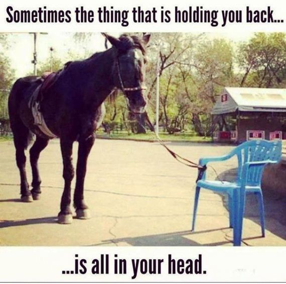 funny-pictures-944