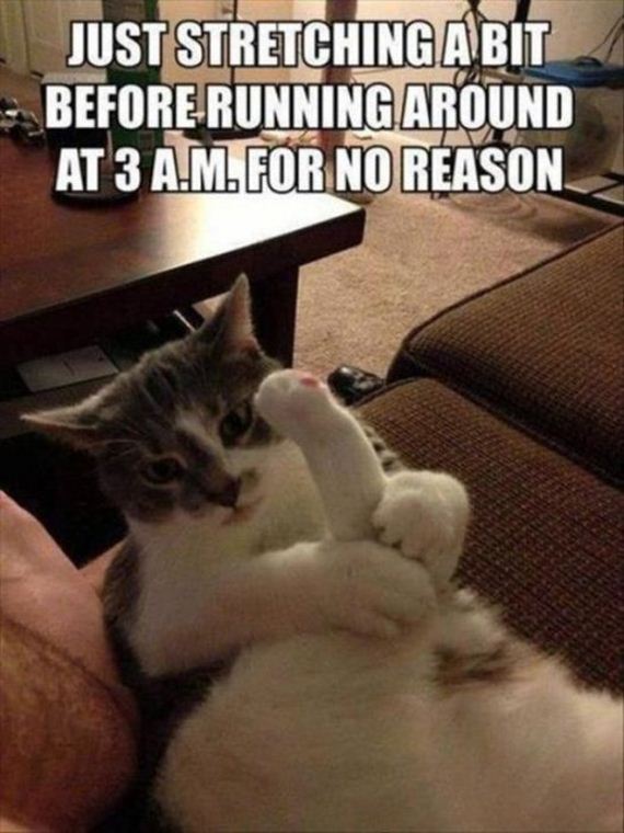 funny-pictures-945