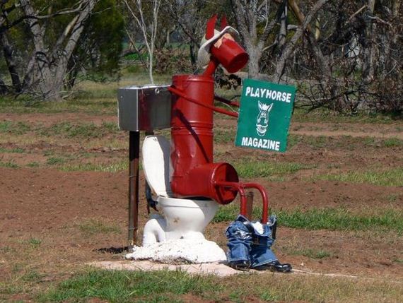 funny-pictures-945