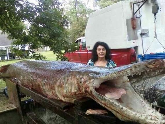 funny-pictures-945