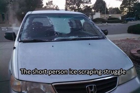 funny-pictures-945