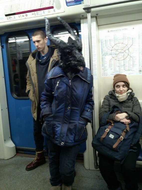 funny-pictures-945
