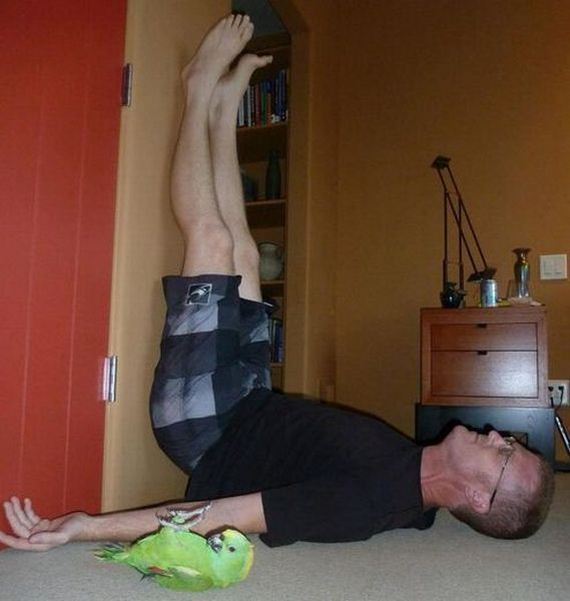 funny-pictures-945