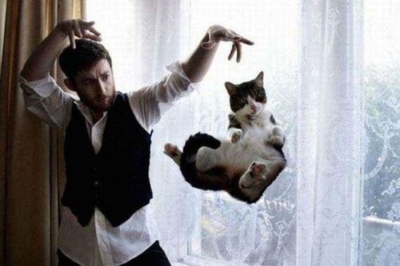 funny-pictures-946