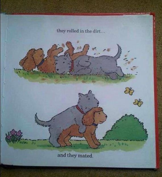 funny-pictures-946