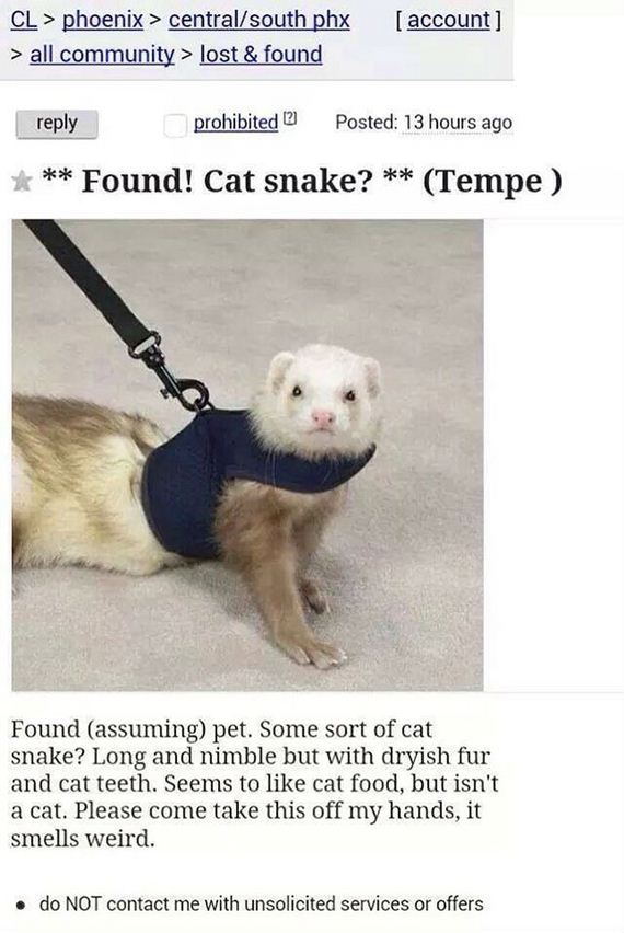 funny-pictures-946