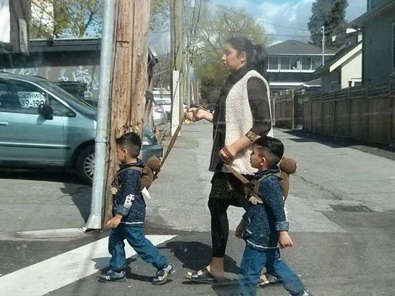 funny-pictures-947