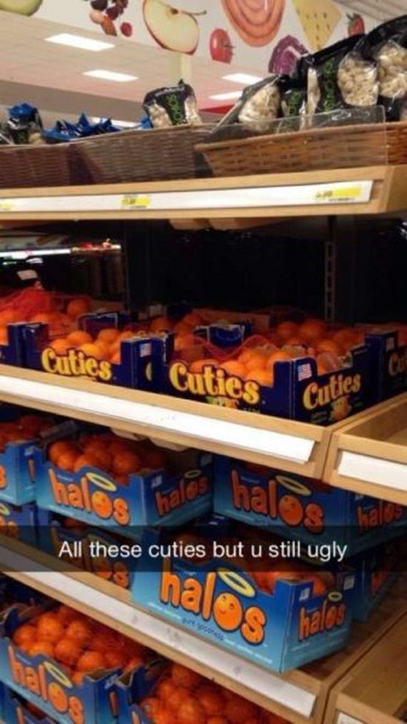 funny-pictures-947