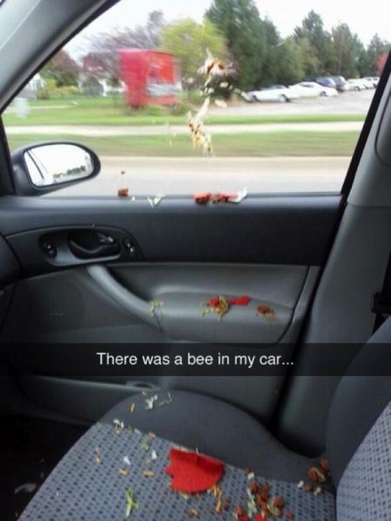 funny-pictures-949