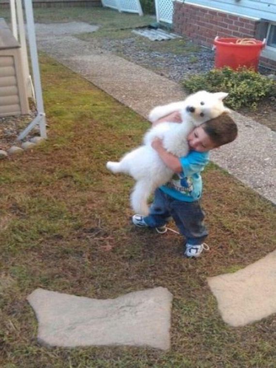 funny-pictures-949