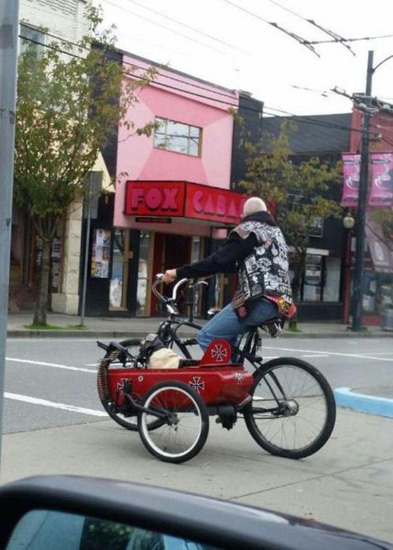 funny-pictures-949