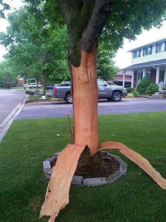 funny-pictures-949