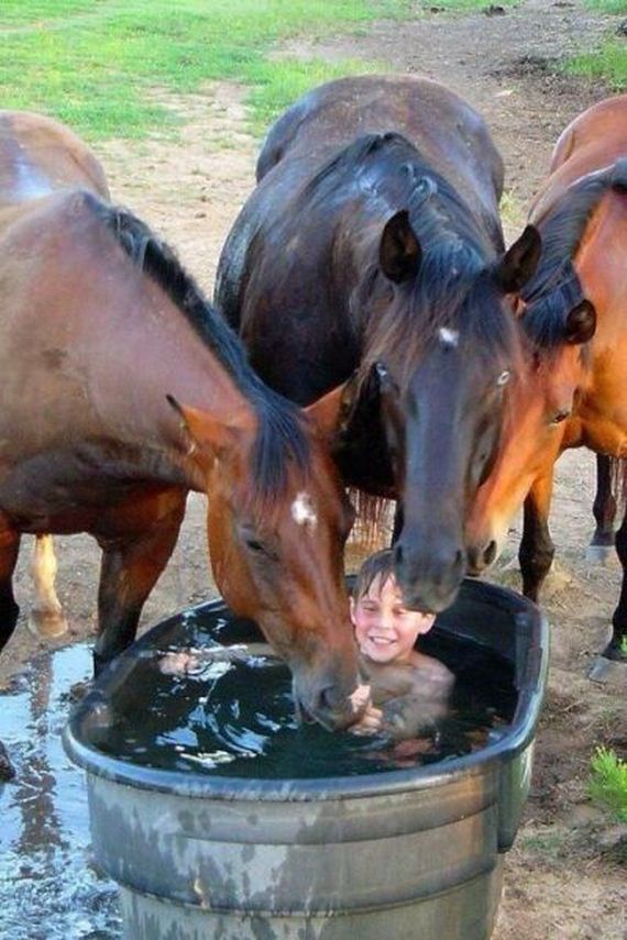 funny-pictures-949