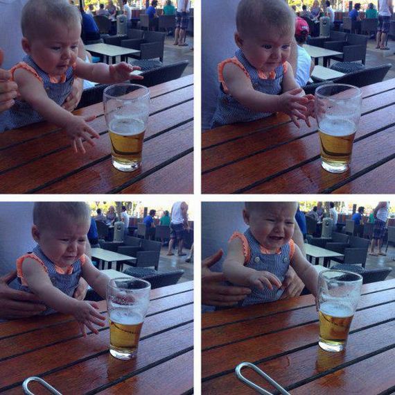 funny-pictures-950