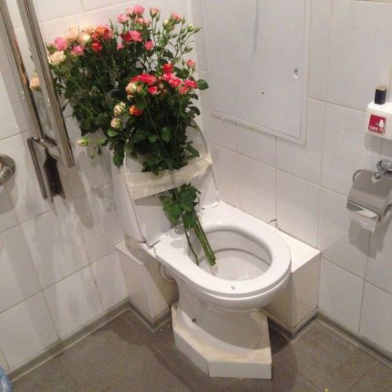 funny-pictures-950