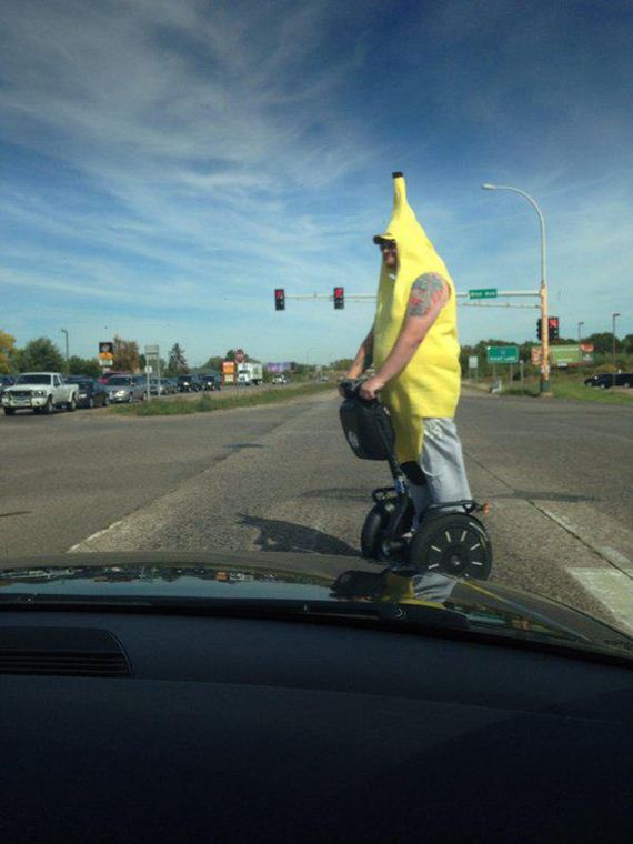 funny-pictures-952