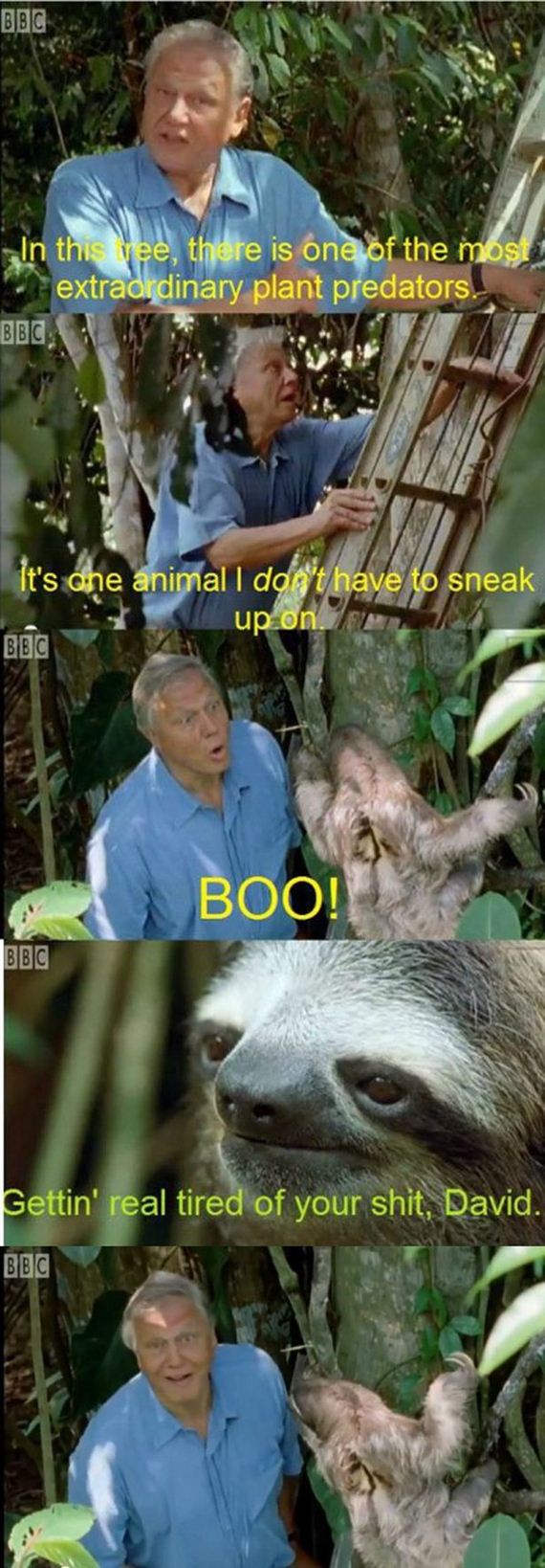funny-pictures-952