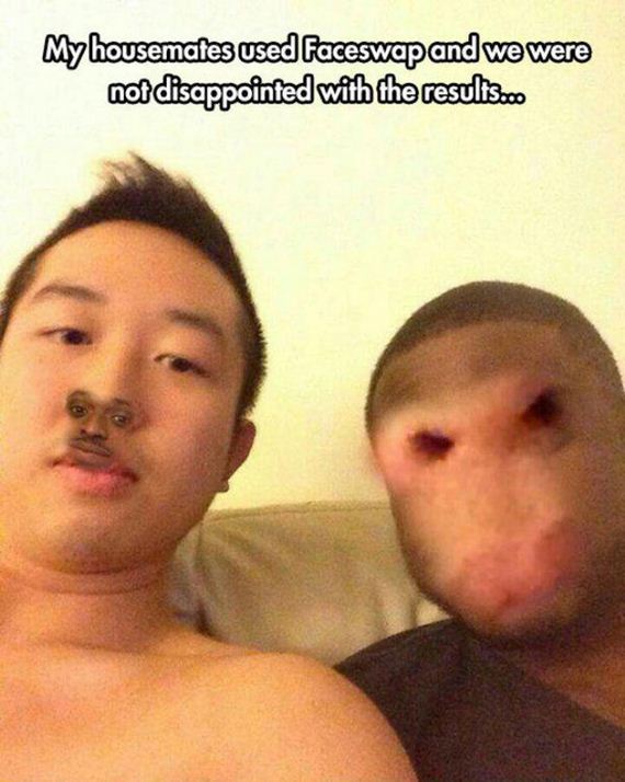 funny-pictures-952