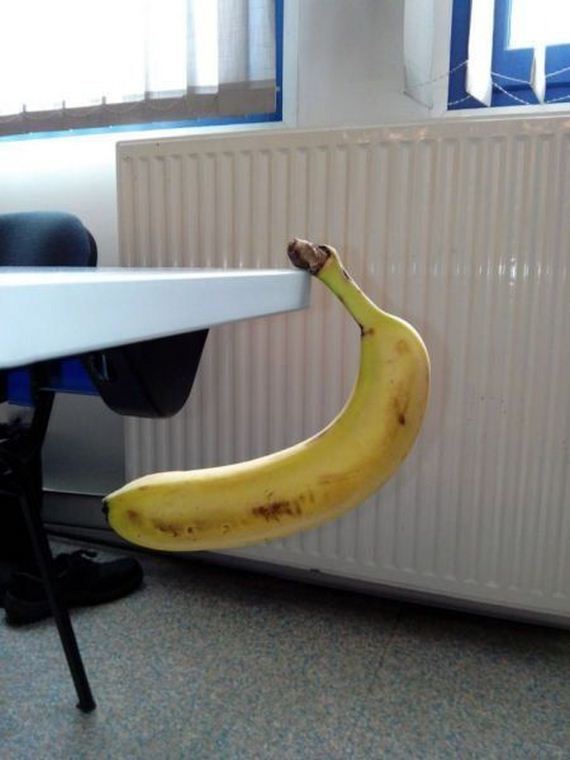 funny-pictures-953