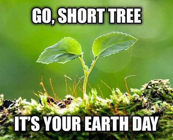 funny-pictures-954