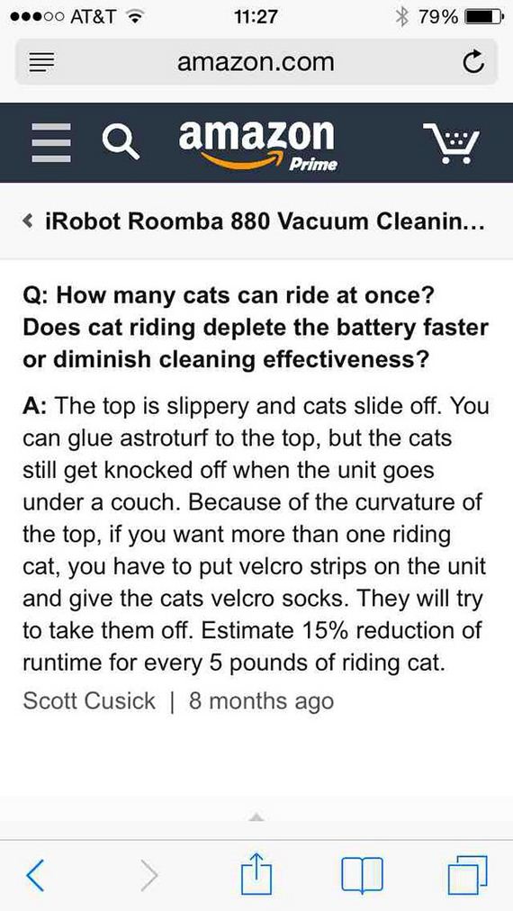 funny-pictures-954