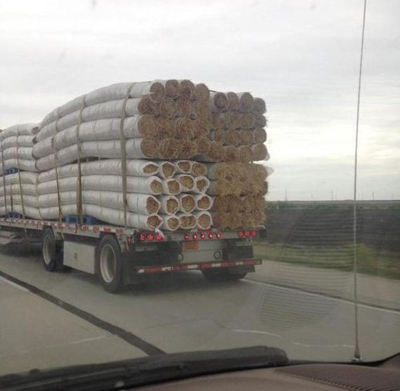 funny-pictures-956