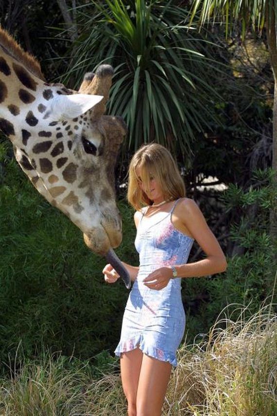 funny-pictures-956