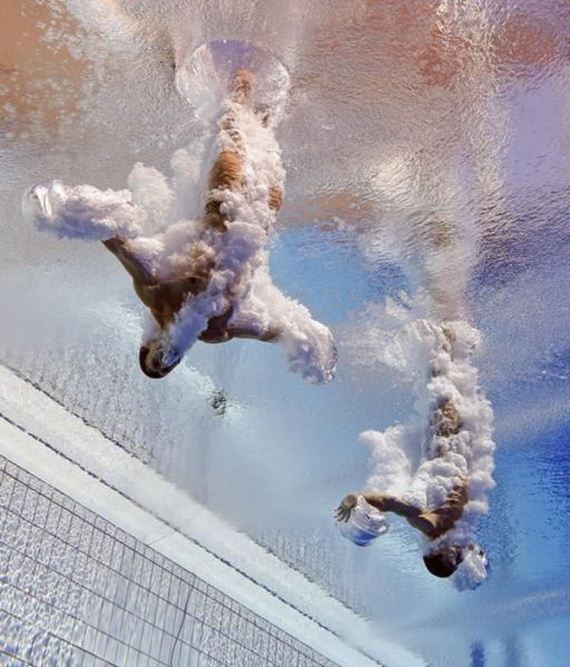 funny-pictures-956