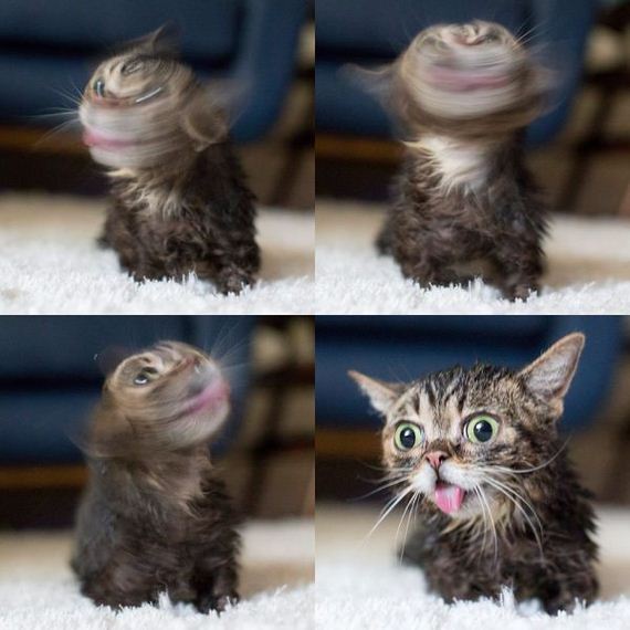 funny-pictures-957