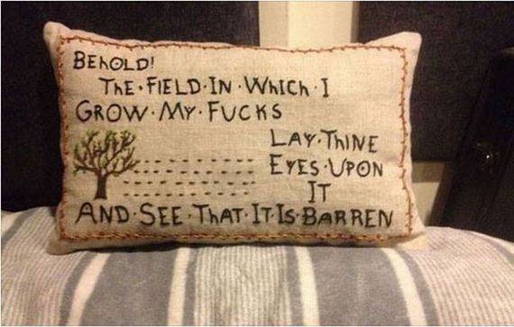 funny-pictures-959