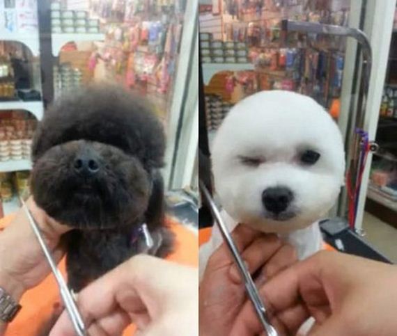 funny-pictures-959