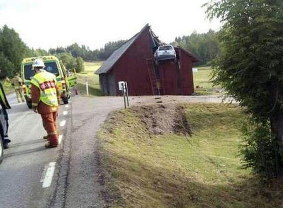 funny-pictures-959