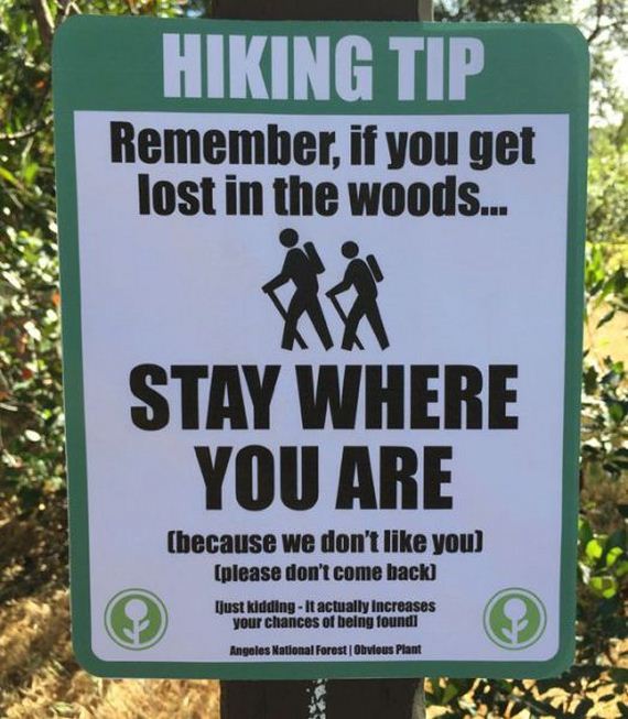 funny-pictures-960