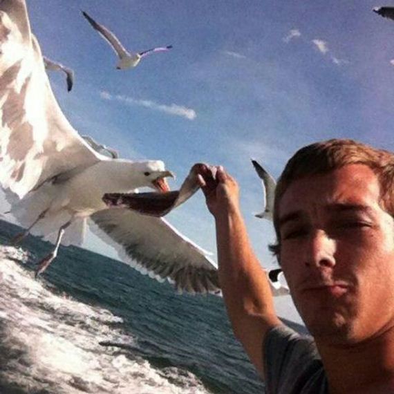 funny-pictures-960